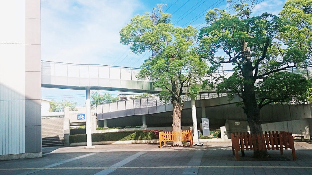 ビッグホエール外部スロープ